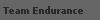  Team Endurance